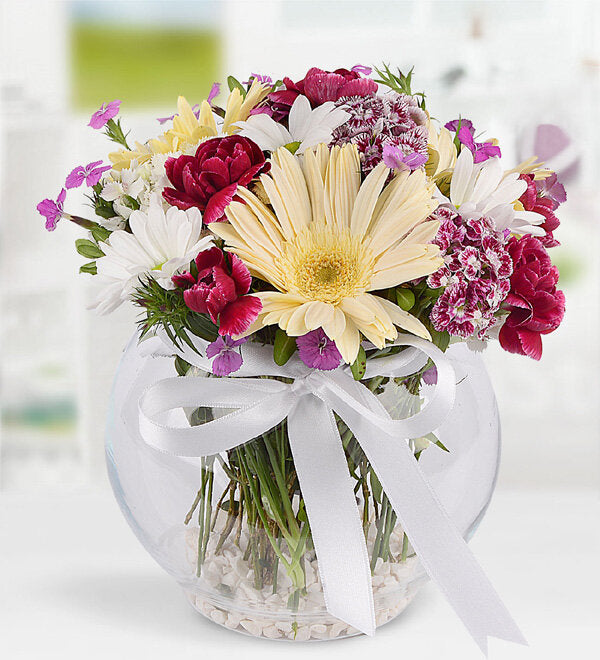 AKVARYUM VAZODA RENGAREN ARANJMAN