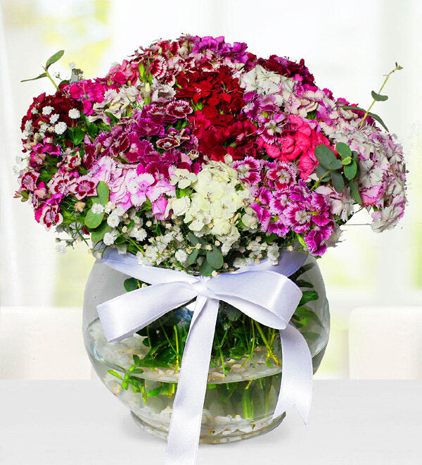 AKVARYUM VAZODA RENKİ HÜSNÜYUSUF ARANJMANI