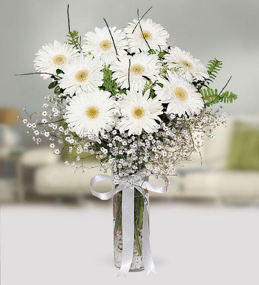 BEYAZ BULUT  GERBERA ARANJMANI